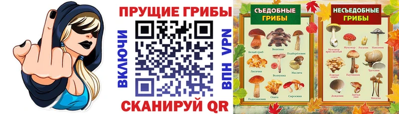 Псилоцибиновые грибы MAGIC MUSHROOMS  Купить закладки  Бугульма 