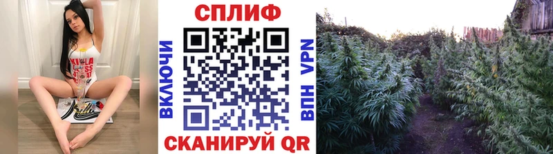 Шишки марихуана конопля  Купить где  Бугульма 